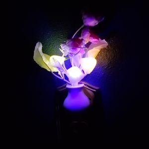 Blooming color changing nightlight